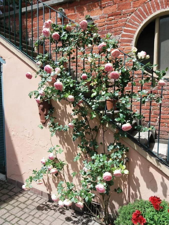 Ferienwohnung La Terrazza Sul Monferrato Ozzano Monferrato Exterior foto